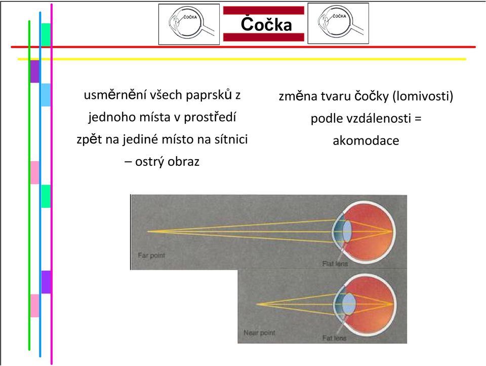 na sítnici ostrý obraz změna tvaru