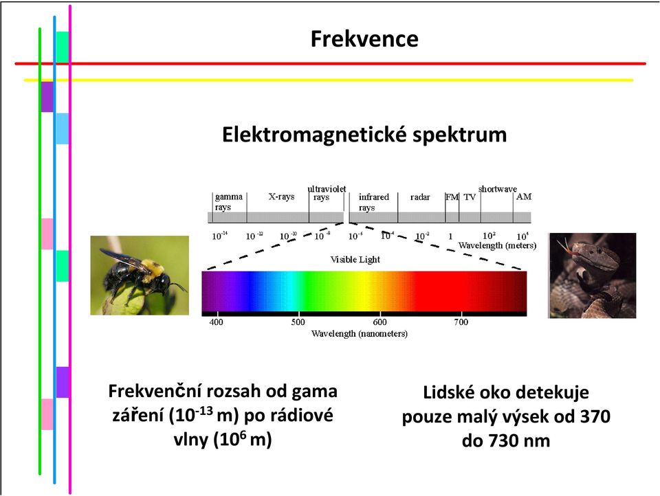 m) po rádiové vlny (10 6 m) Lidskéoko