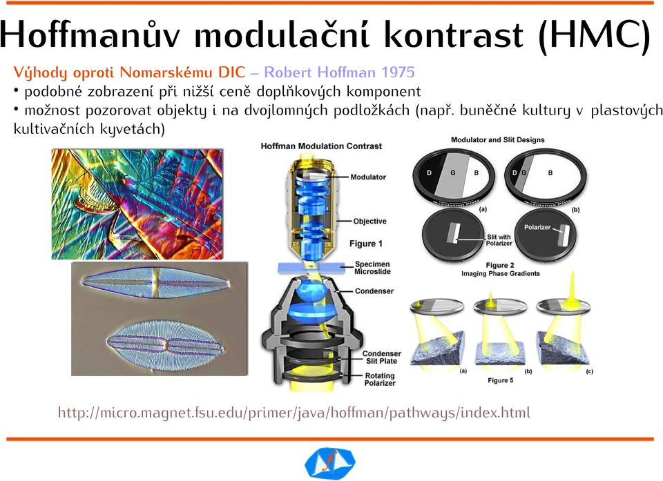 objekty i na dvojlomných podložkách (např.