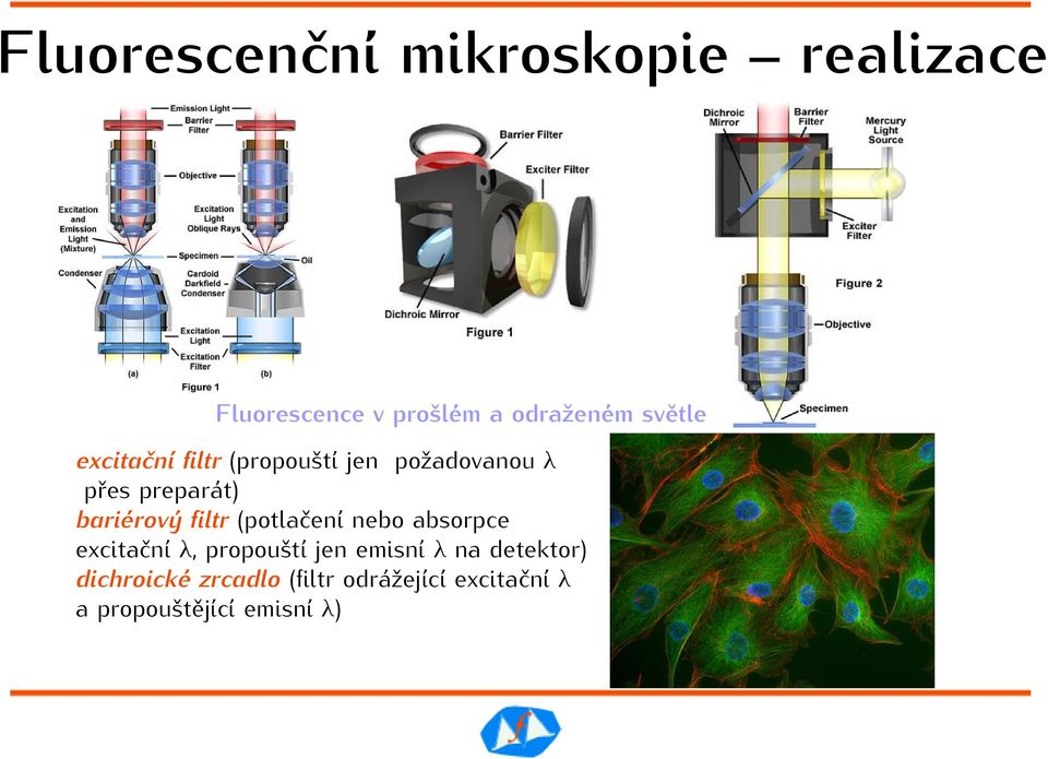 bariérový filtr (potlačení nebo absorpce excitační λ, propouští jen emisní