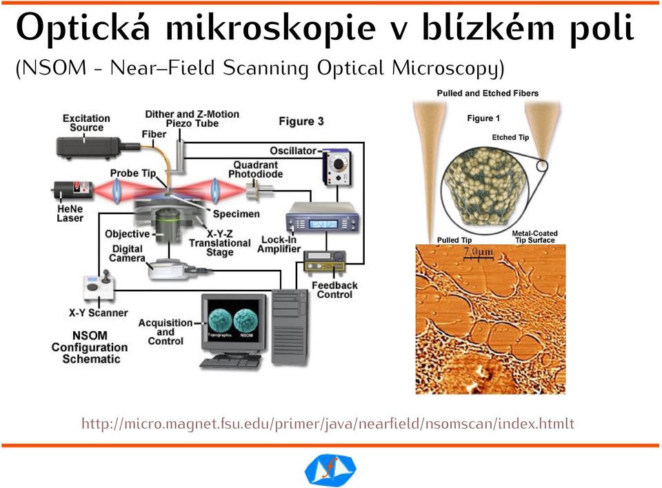 Microscopy) http://micro.magnet.fsu.