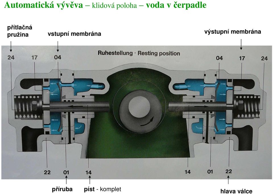 vstupní membrána výstupní membrána