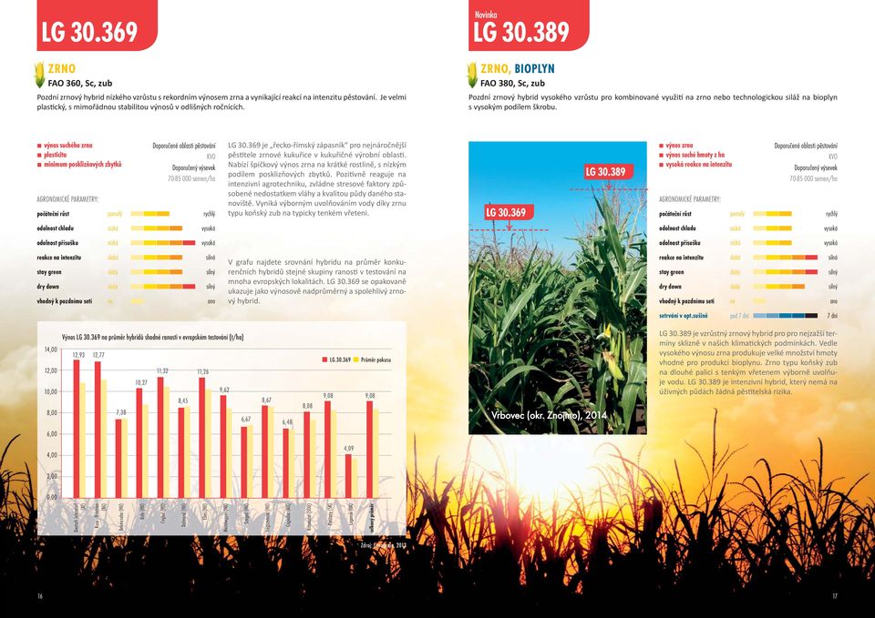 389 ZRNO, BIOPLYN FAO 380, Sc, zub Pozdní zrnový hybrid vysokého vzrůstu pro kombinované využi na zrno nebo technologickou siláž na bioplyn s vysokým podílem škrobu.