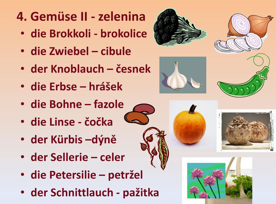 Bohne fazole die Linse - čočka der Kürbis dýně der