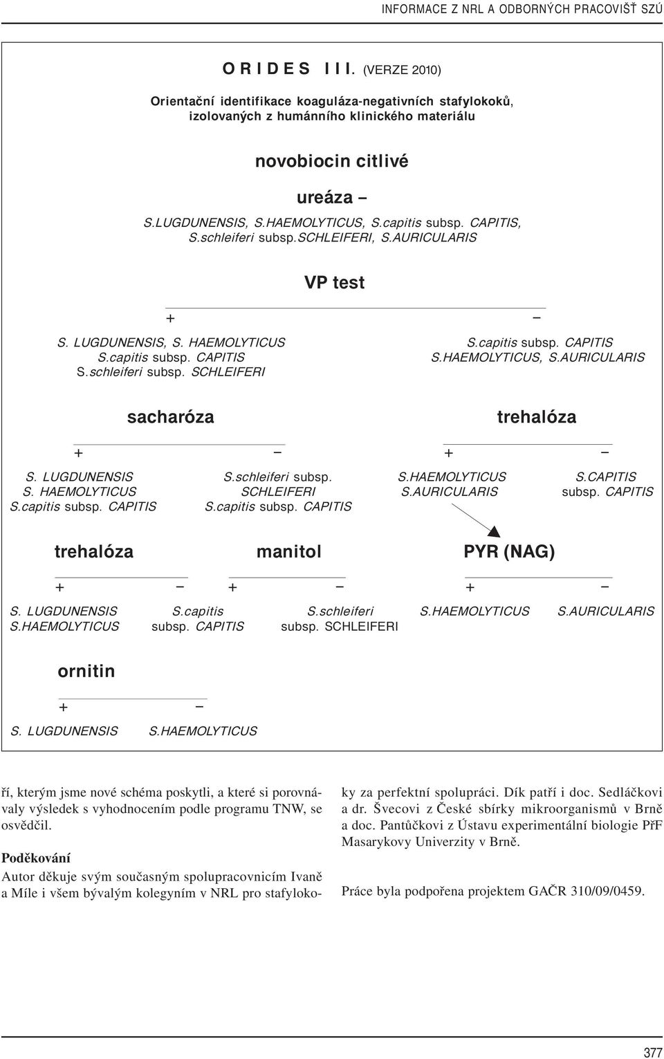 CAPITIS, S.schleiferi subsp.schleiferi, S.AURICULARIS VP test S. LUGDUNENSIS, S. HAEMOLYTICUS S.capitis subsp. CAPITIS S.capitis subsp. CAPITIS S.HAEMOLYTICUS, S.AURICULARIS S.schleiferi subsp. SCHLEIFERI sacharûza S.