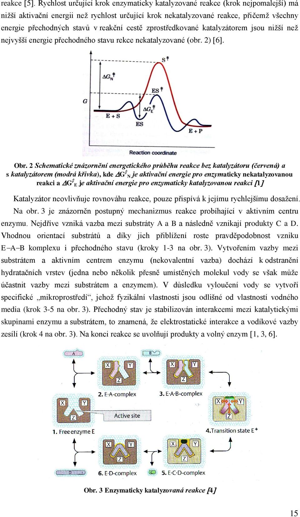 reakční cestě zprostředkované katalyzátorem jsou nižší než nejvyšší energie přechodného stavu rekce nekatalyzované (obr. 2) 6. Obr.