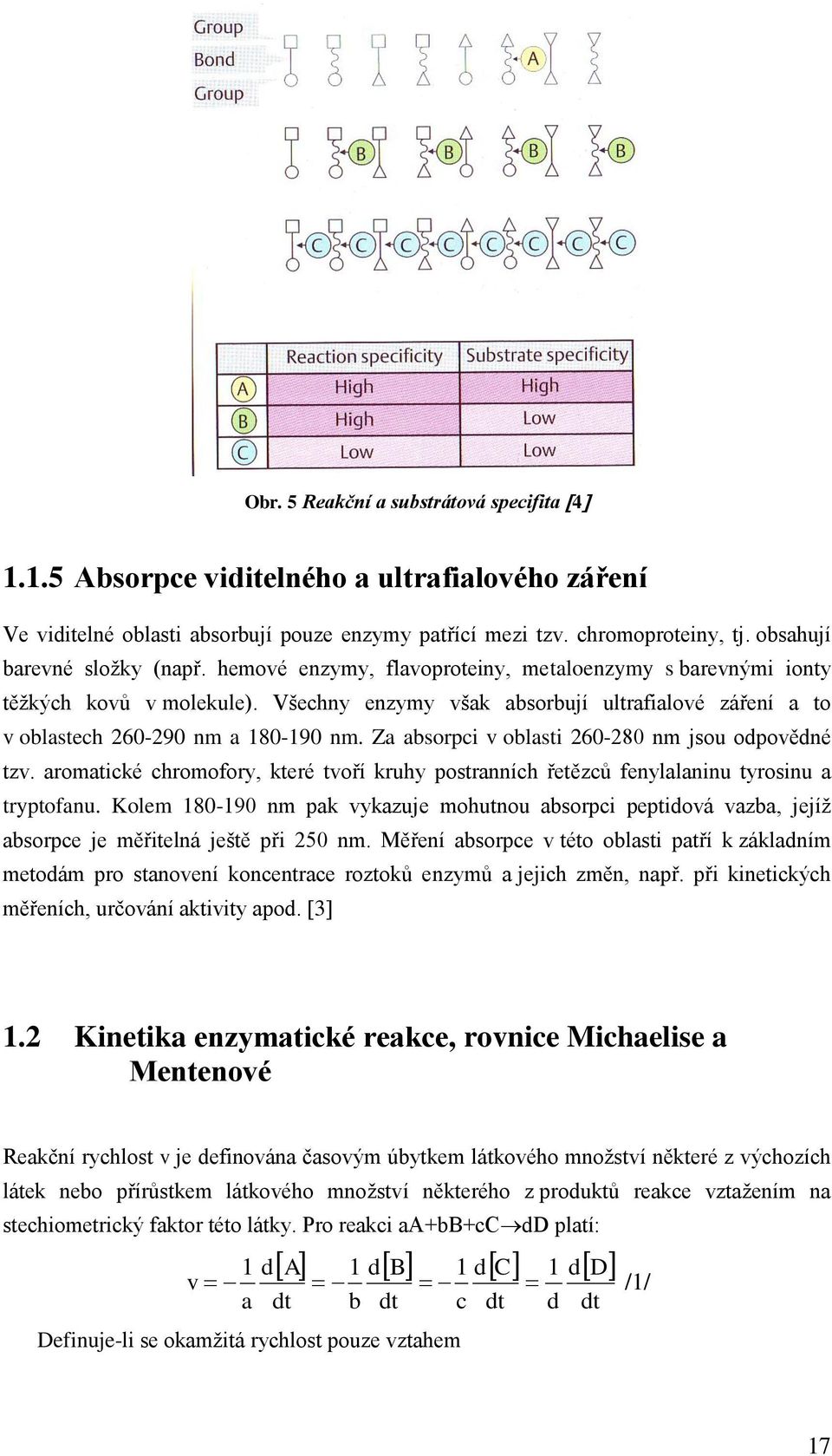 Všechny enzymy však absorbují ultrafialové záření a to v oblastech 260-290 nm a 180-190 nm. Za absorpci v oblasti 260-280 nm jsou odpovědné tzv.