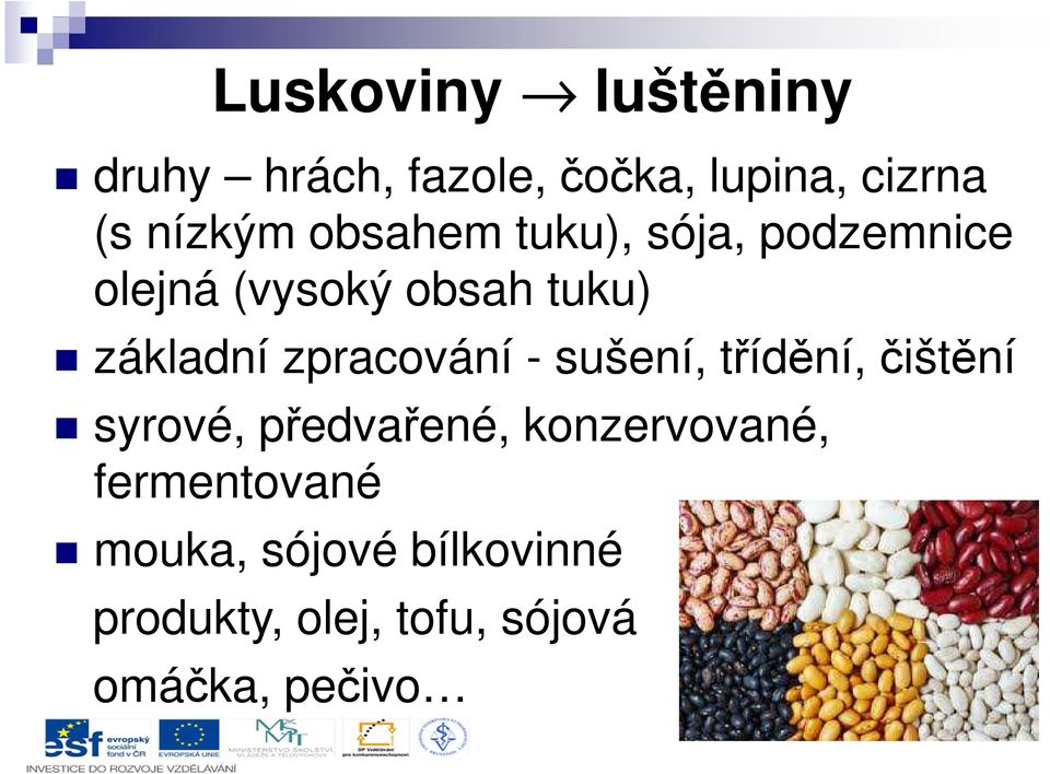 zpracování - sušení, třídění, čištění syrové, předvařené, konzervované,