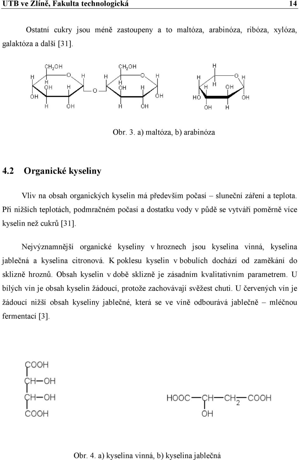 Při nižších teplotách, podmračném počasí a dostatku vody v půdě se vytváří poměrně více kyselin než cukrů [31].