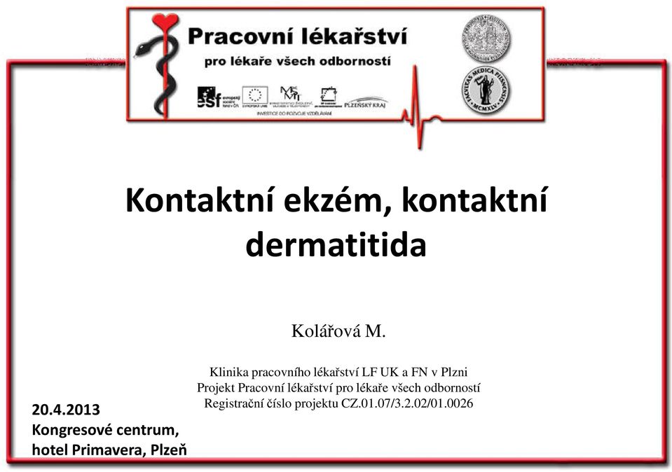 pracovního lékařství LF UK a FN v Plzni Projekt Pracovní