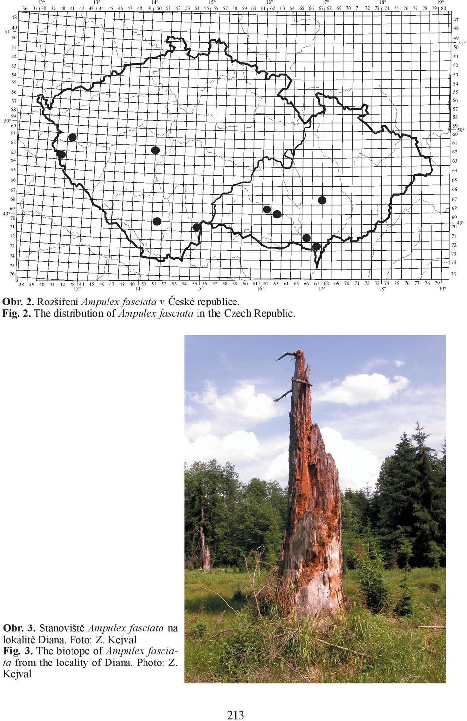 Kejval Fig. 3.