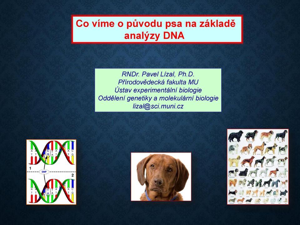 fakulta MU Ústav experimentální biologie