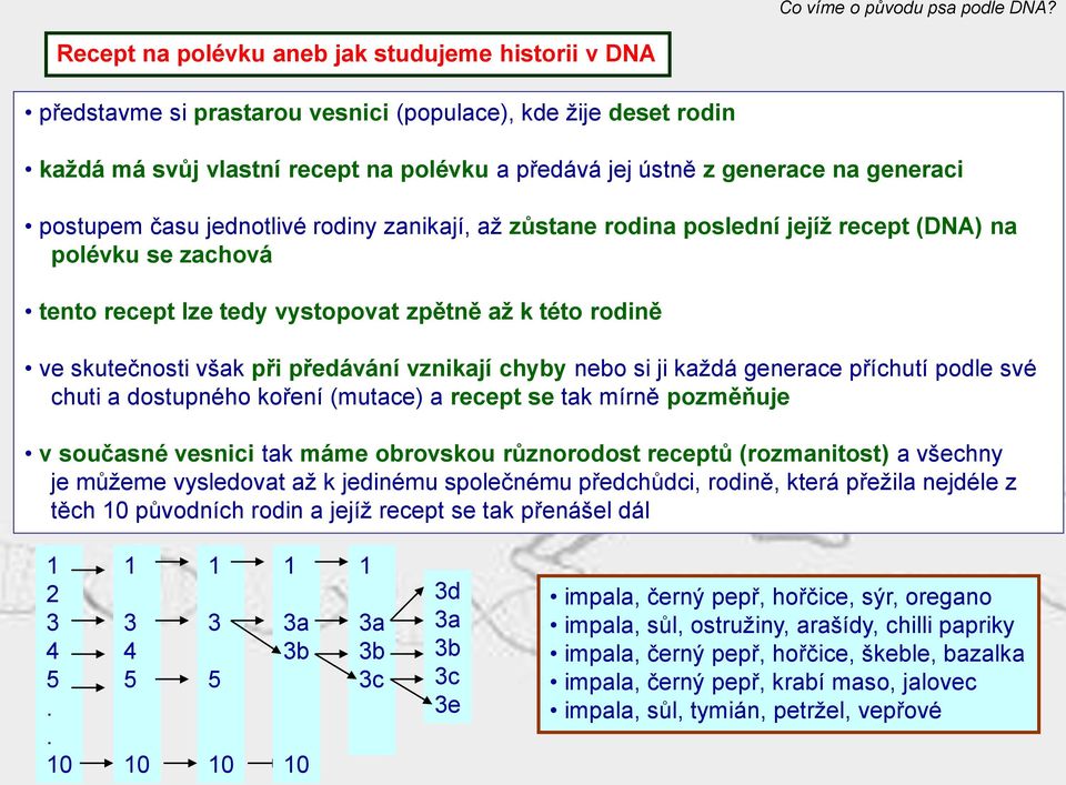 předávání vznikají chyby nebo si ji každá generace příchutí podle své chuti a dostupného koření (mutace) a recept se tak mírně pozměňuje v současné vesnici tak máme obrovskou různorodost receptů