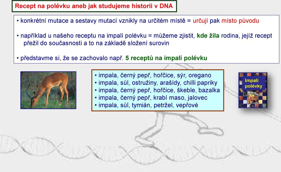 surovin představme si, že se zachovalo např.