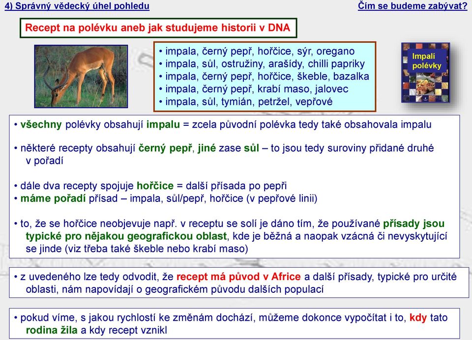 černý pepř, krabí maso, jalovec impala, sůl, tymián, petržel, vepřové Impalí polévky všechny polévky obsahují impalu = zcela původní polévka tedy také obsahovala impalu některé recepty obsahují černý