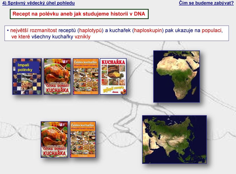 rozmanitost receptů (haplotypů) a kuchařek (haploskupin) pak