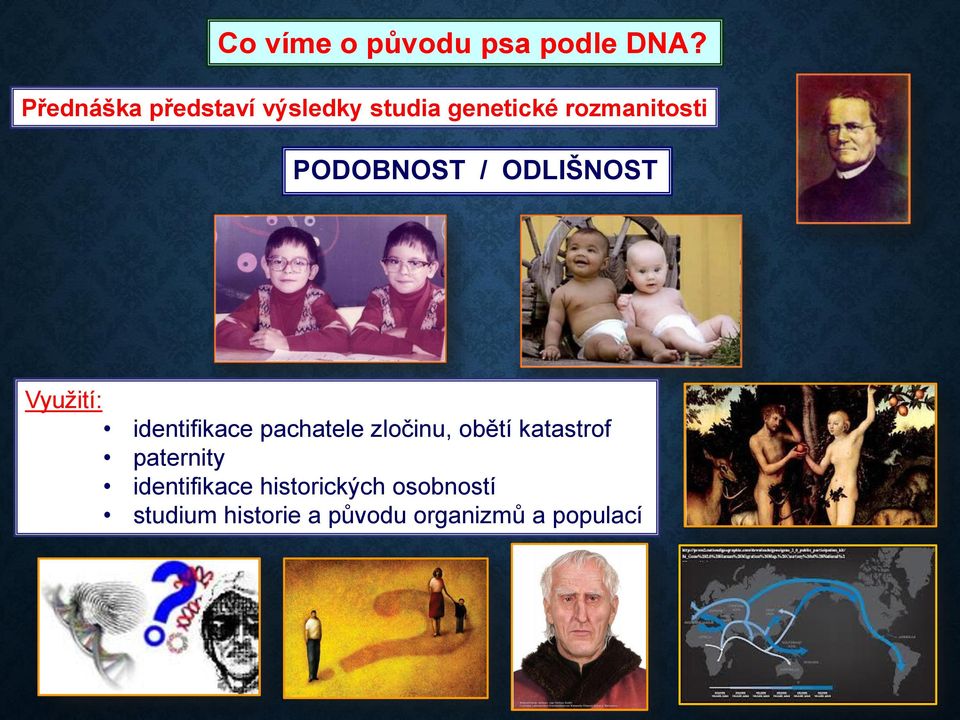 pachatele zločinu, obětí katastrof paternity identifikace