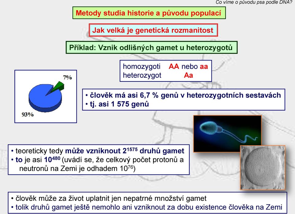 asi 1 575 genů teoreticky tedy může vzniknout 2 1575 druhů gamet to je asi 10 480 (uvádí se, že celkový počet protonů a