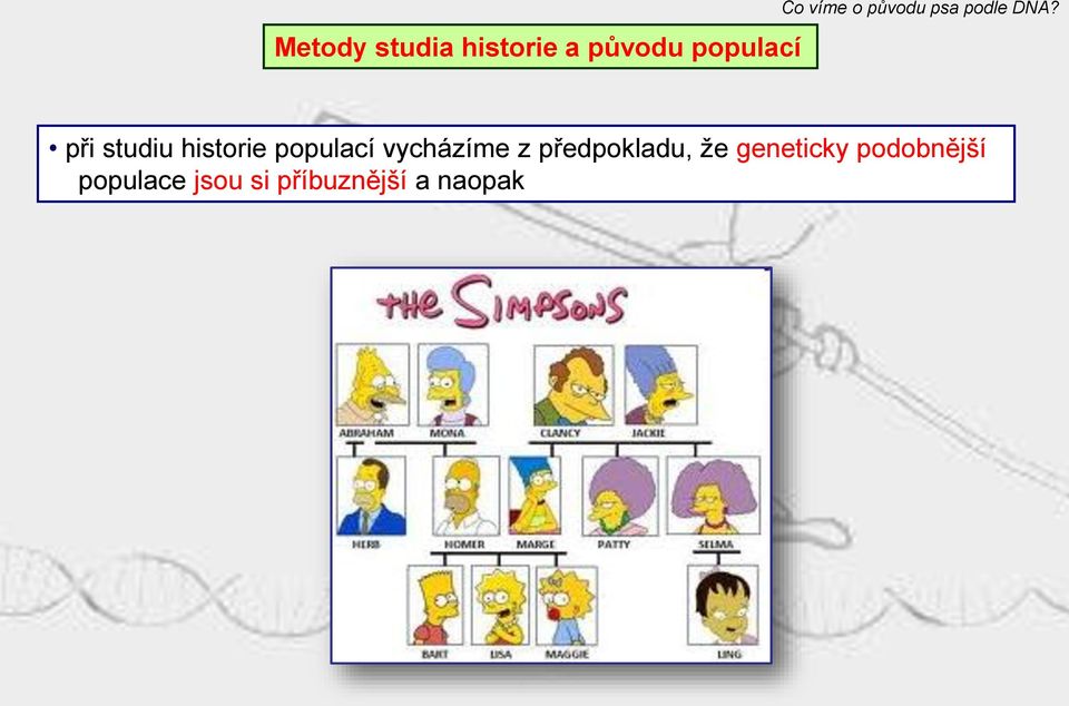 vycházíme z předpokladu, že geneticky