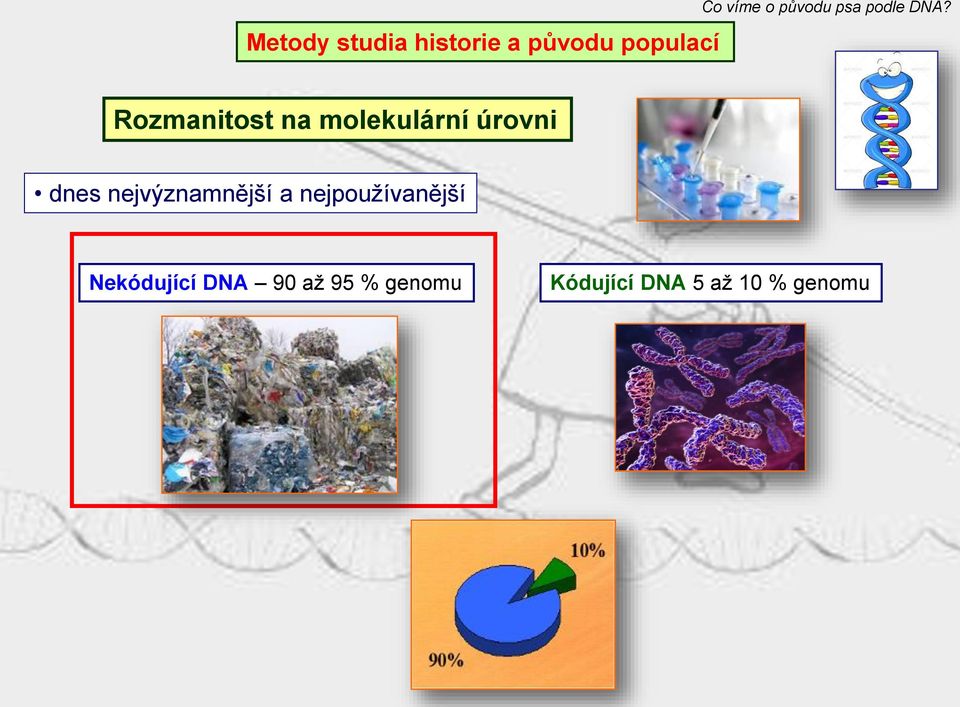 nejvýznamnější a nejpoužívanější Nekódující