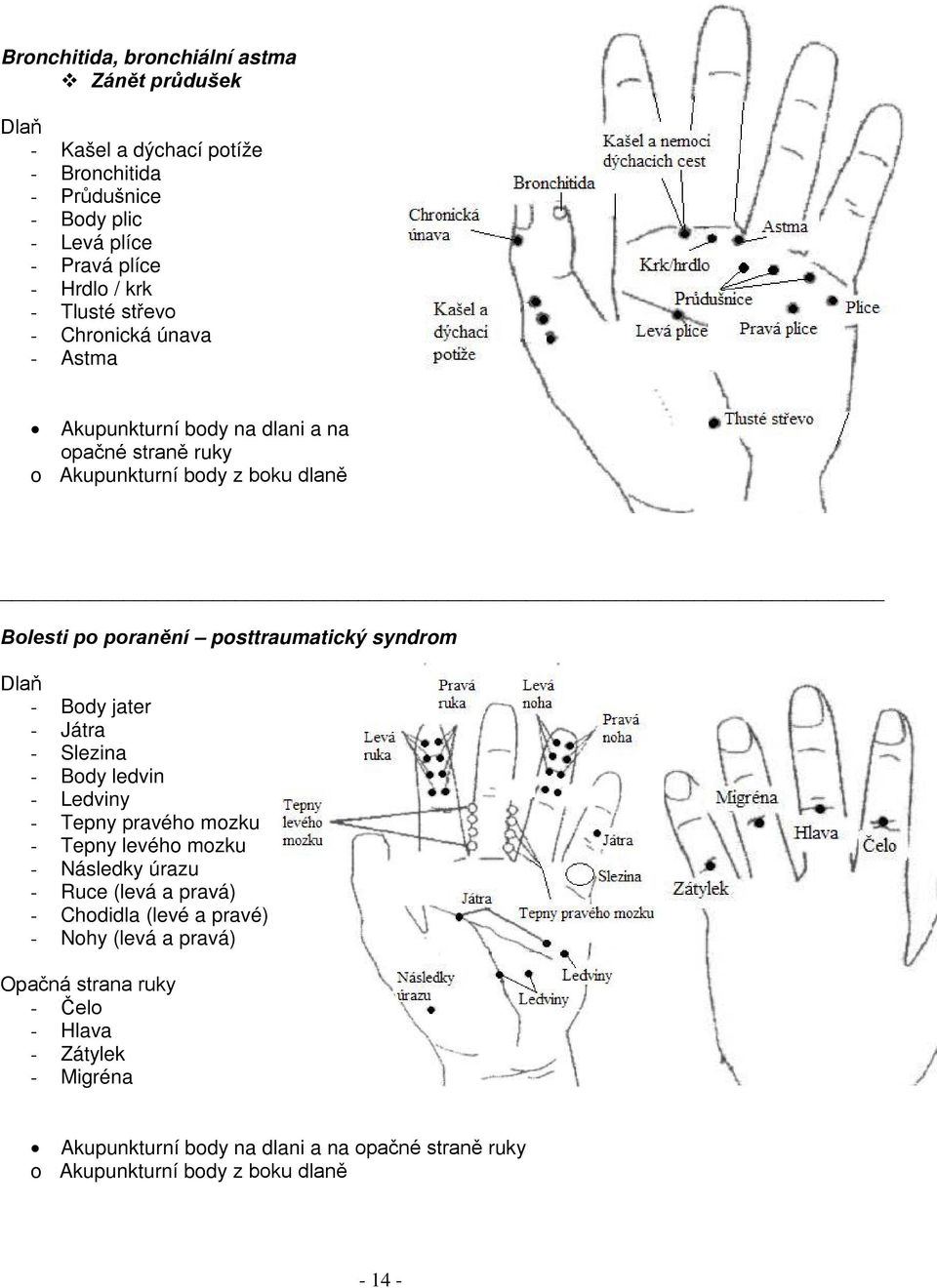 poranění posttraumatický syndrom - Body jater - Slezina - Body ledvin - Tepny pravého mozku - Tepny levého mozku -