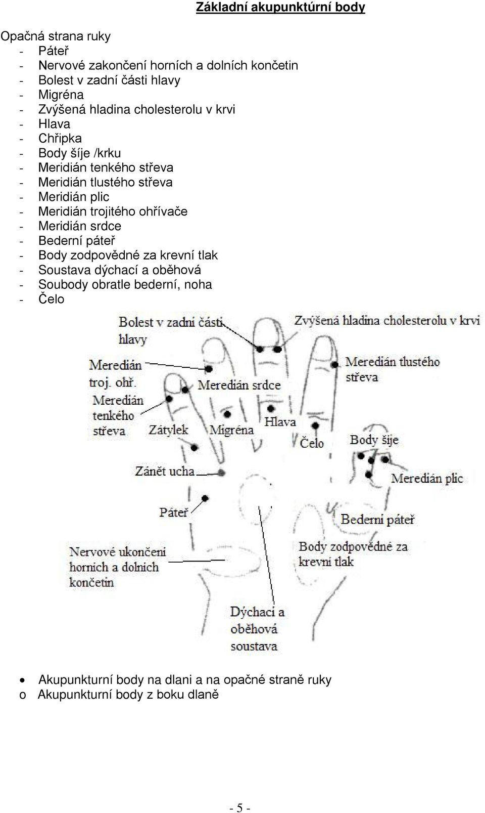 střeva - Meridián tlustého střeva - Meridián plic - Meridián trojitého ohřívače - Meridián srdce - Bederní