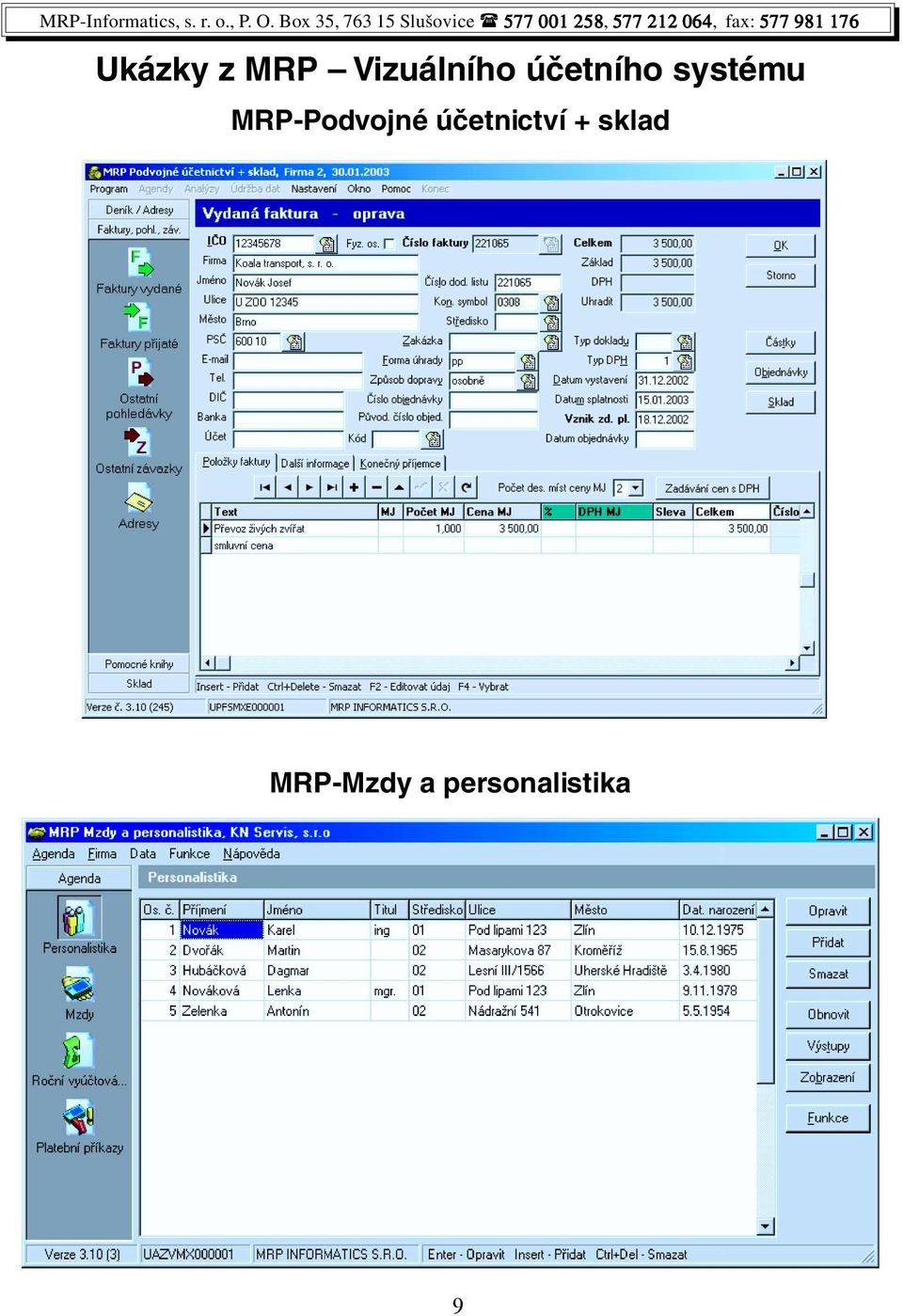 MRP-Podvojné účetnictví