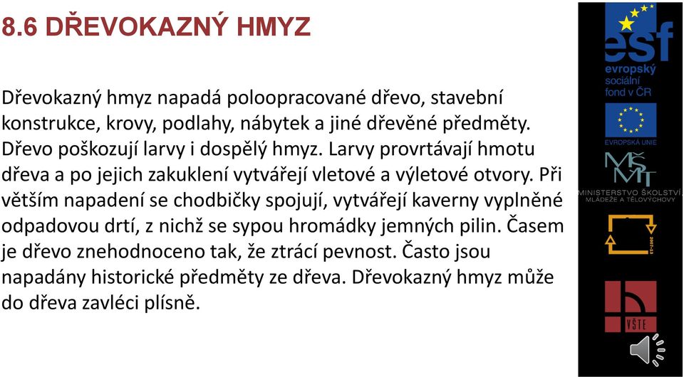 Při větším napadení se chodbičky spojují, vytvářejí kaverny vyplněné odpadovou drtí, z nichž se sypou hromádky jemných pilin.