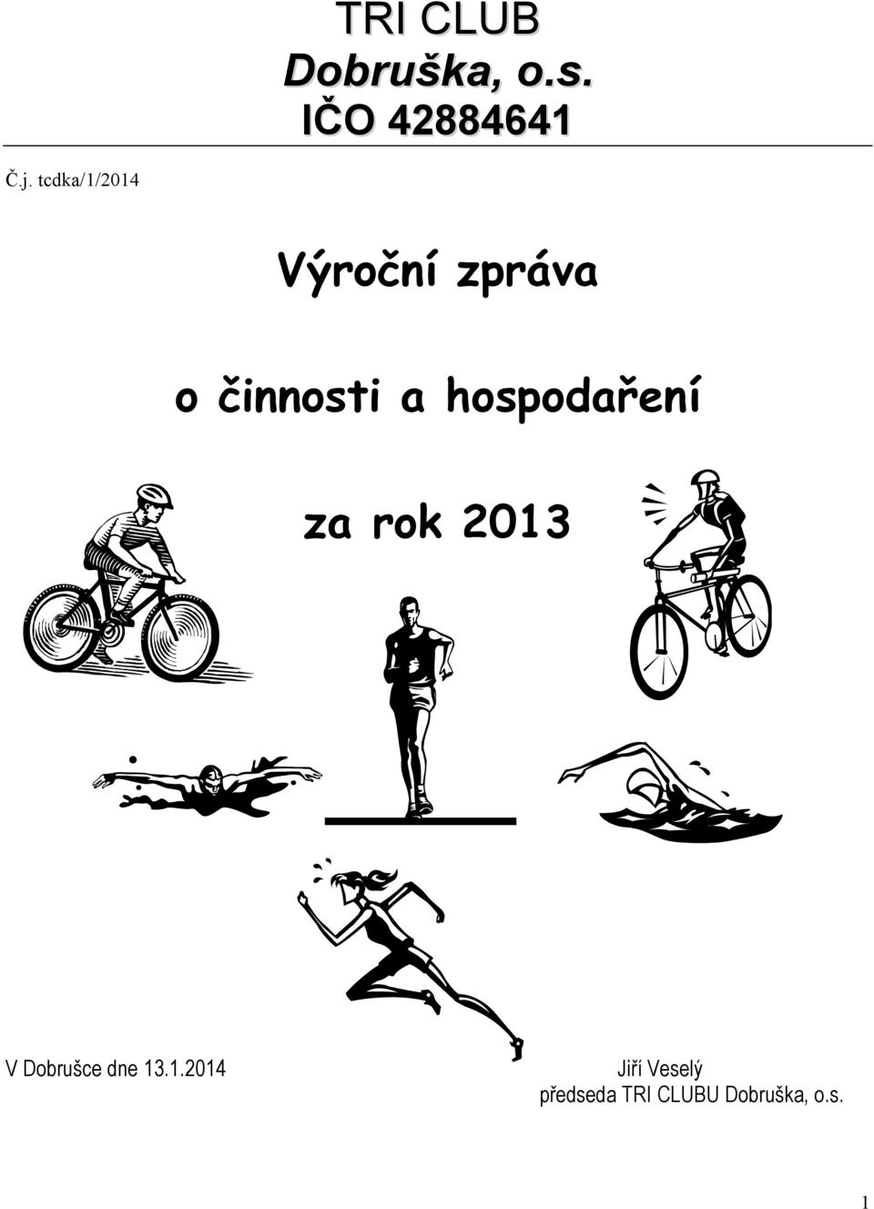 hospodaření za rok 2013