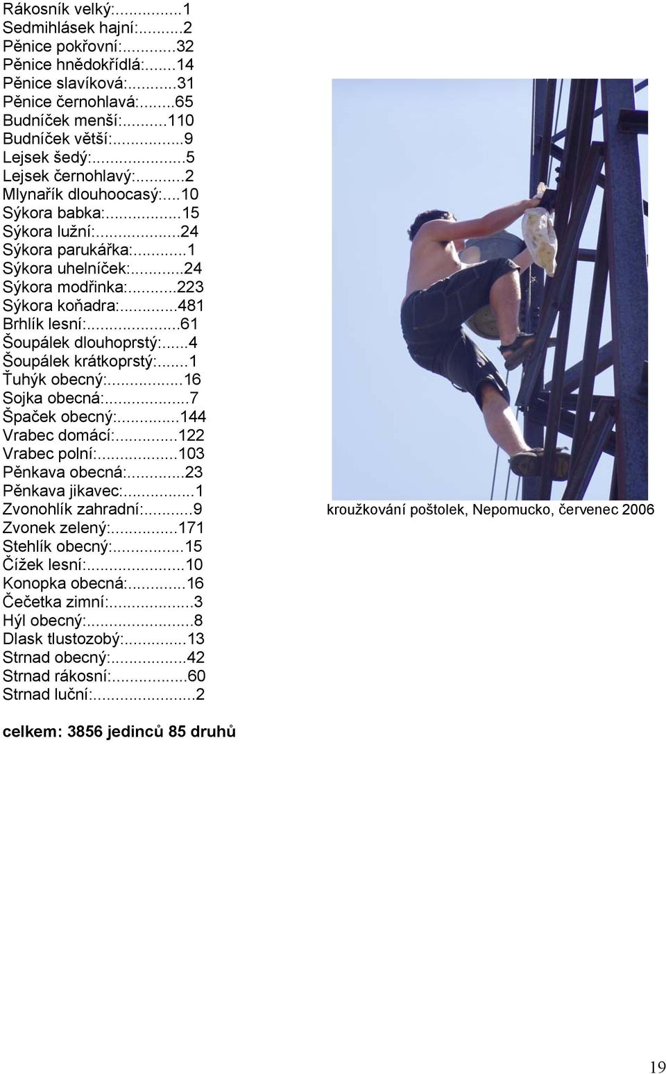 ..61 Šoupálek dlouhoprstý:...4 Šoupálek krátkoprstý:...1 Ťuhýk obecný:...16 Sojka obecná:...7 Špaček obecný:...144 Vrabec domácí:...122 Vrabec polní:...103 Pěnkava obecná:...23 Pěnkava jikavec:.