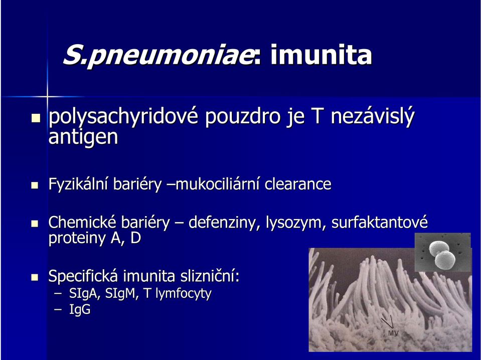 clearance Chemické bariéry ry defenziny, lysozym, surfaktantové