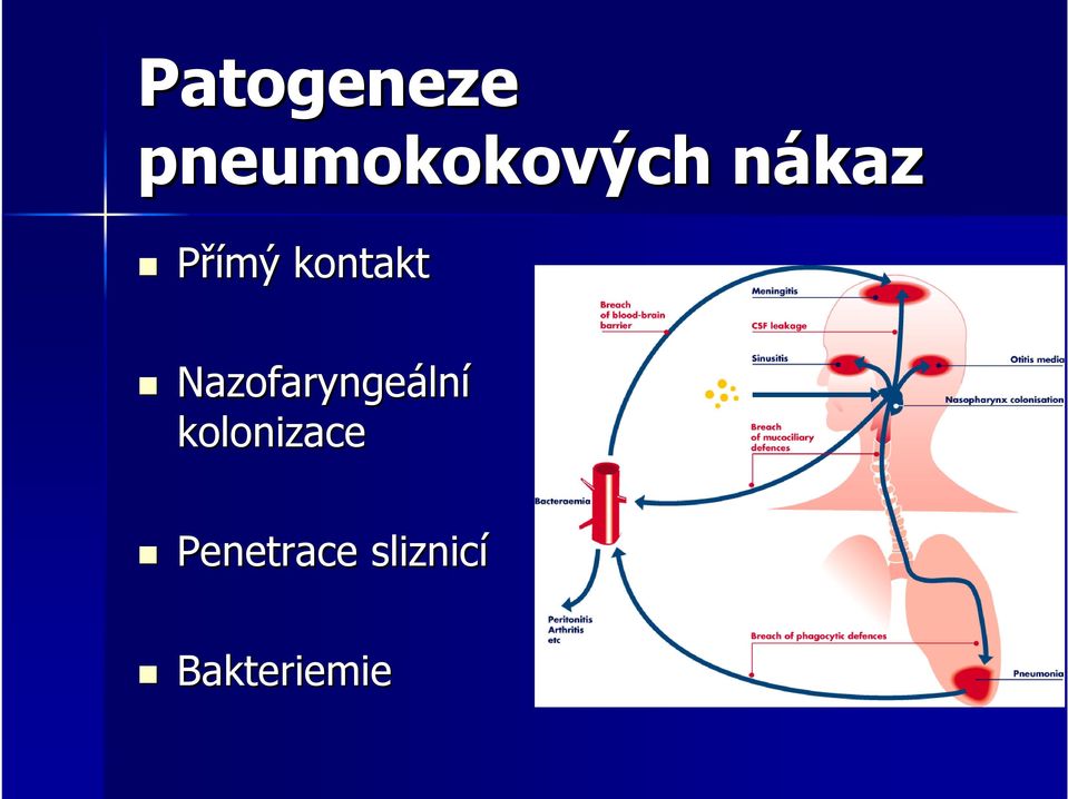 Nazofaryngeáln lní