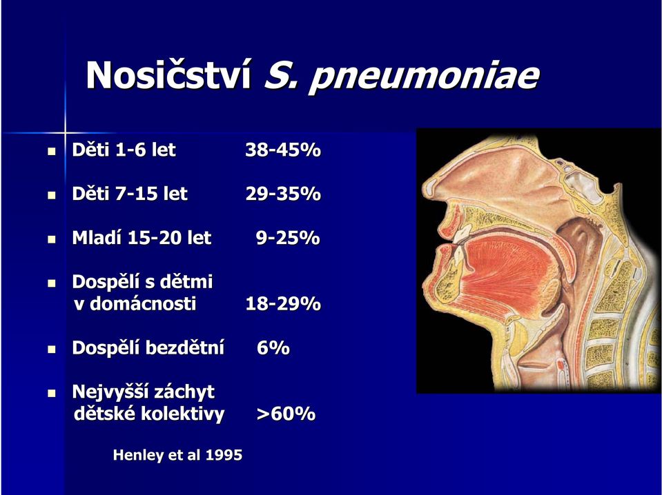 29-35% Mladí 15-20 let 9-25% Dospělí s dětmid v