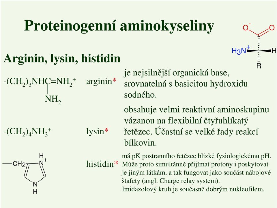 obsahuje velmi reaktivní aminoskupinu vázanou na flexibilní čtyřuhlíkatý řetězec. Účastní se velké řady reakcí bílkovin.