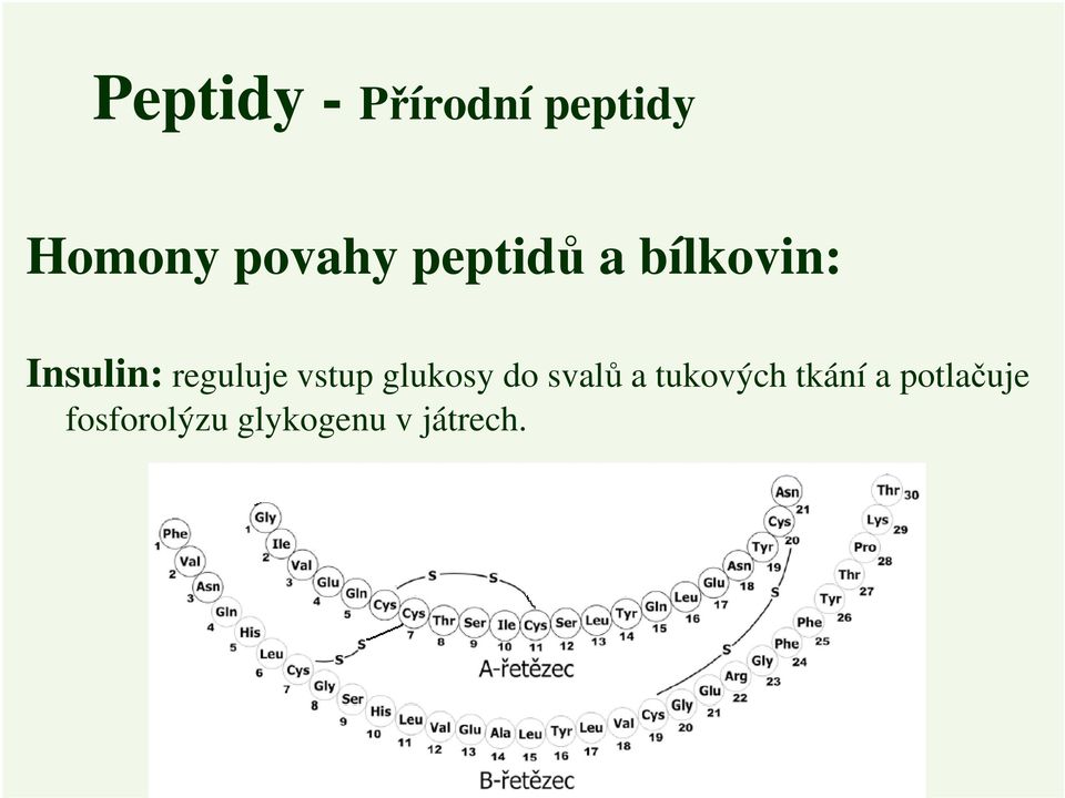 vstup glukosy do svalů a tukových tkání