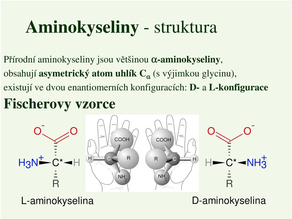 glycinu), existují ve dvou enantiomerních konfiguracích: D- a