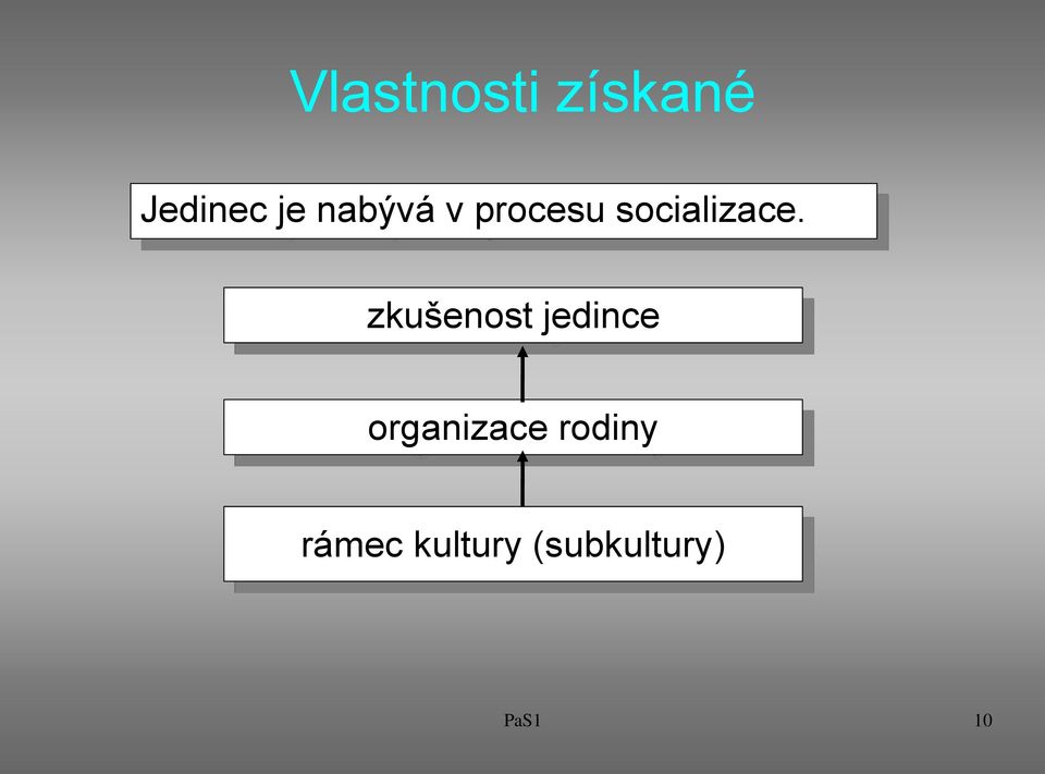 zkušenost jedince organizace