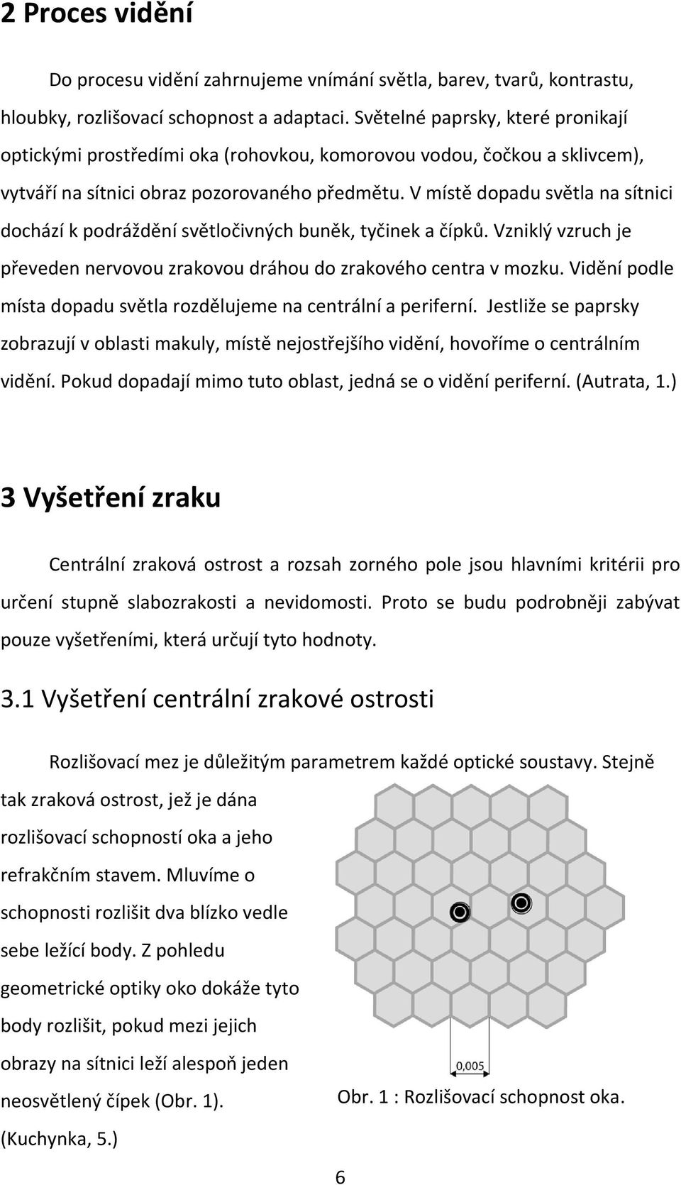 V místě dopadu světla na sítnici dochází k podráždění světločivných buněk, tyčinek a čípků. Vzniklý vzruch je převeden nervovou zrakovou dráhou do zrakového centra v mozku.