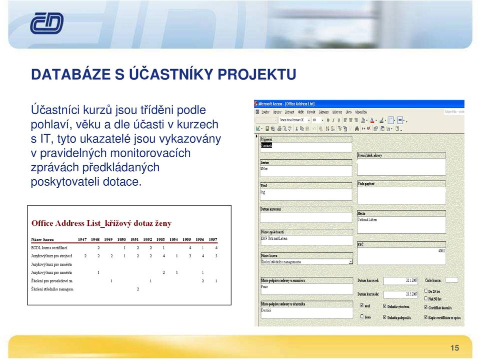 IT, tyto ukazatelé jsou vykazovány v pravidelných