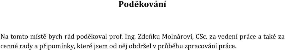 za vedení práce a také za cenné rady a