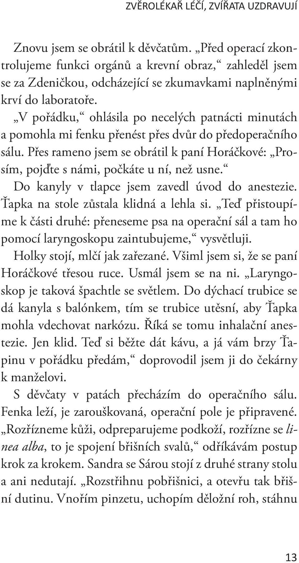 V pořádku, ohlásila po necelých patnácti minutách a pomohla mi fenku přenést přes dvůr do předoperačního sálu.