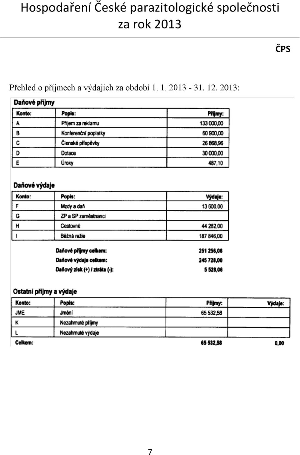 rok 2013 ČPS Přehled o příjmech