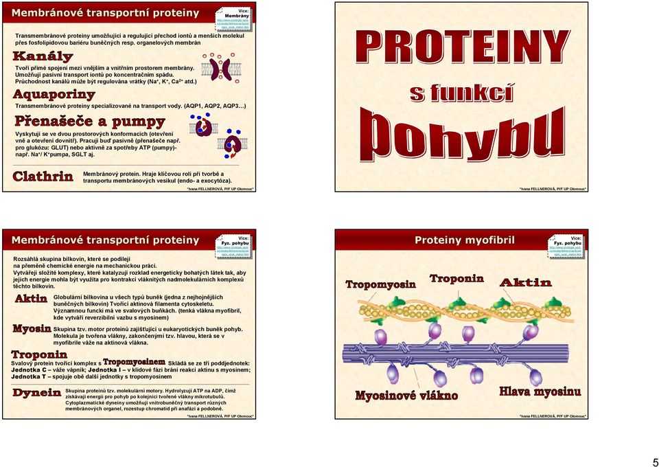 Průchodnost kanálů může být regulována vrátky (Na+, K+, Ca2+ atd.) Transmembránové proteiny specializované na transport vody.