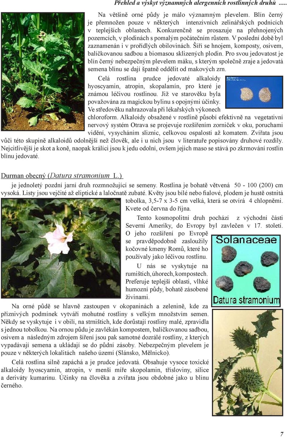 V poslední době byl zaznamenán i v prořídlých obilovinách. Šíří se hnojem, komposty, osivem, balíčkovanou sadbou a biomasou sklizených plodin.