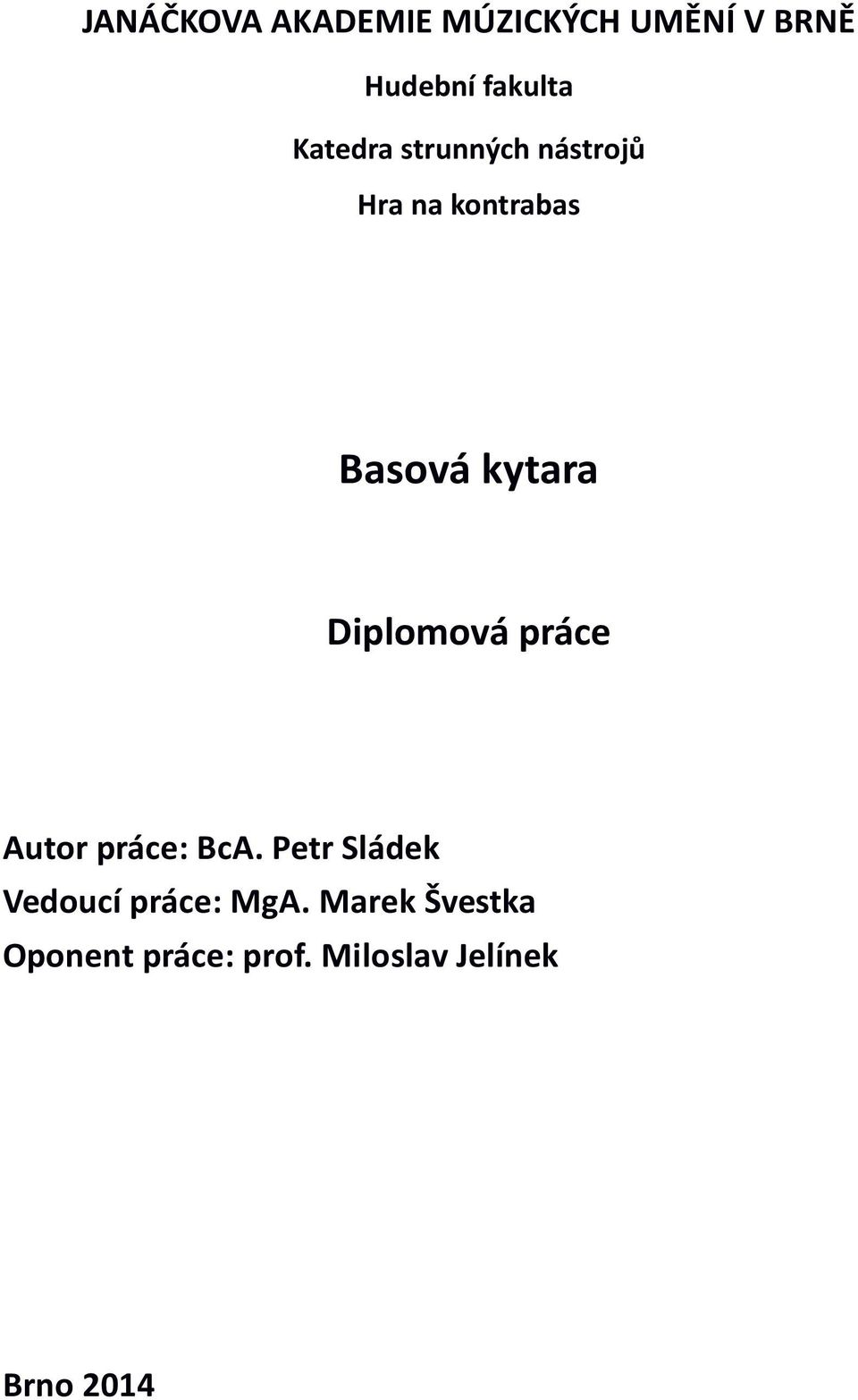 Diplomová práce Autor práce: BcA.