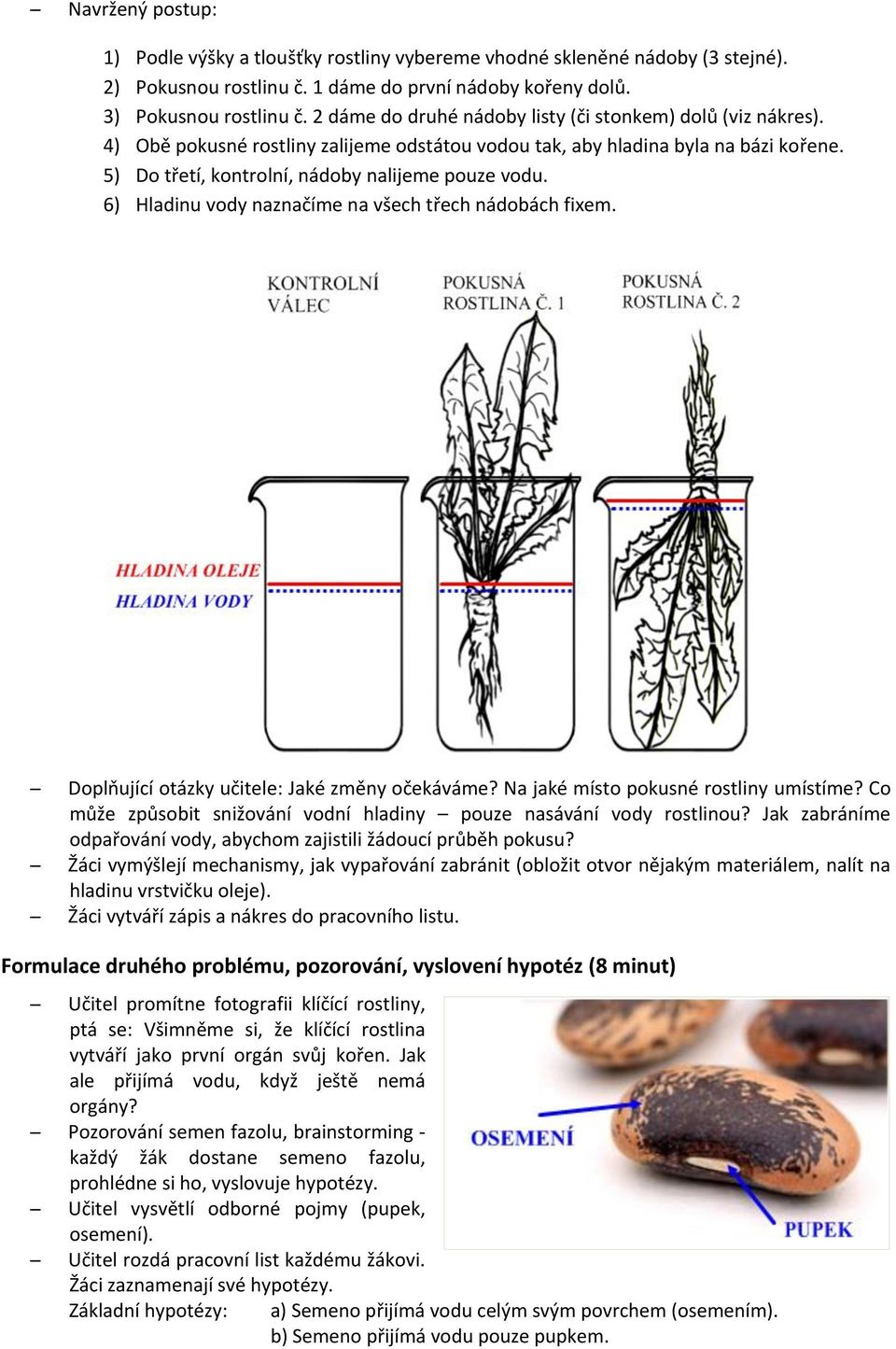 6) Hladinu vody naznačíme na všech třech nádobách fixem. Doplňující otázky učitele: Jaké změny očekáváme? Na jaké místo pokusné rostliny umístíme?