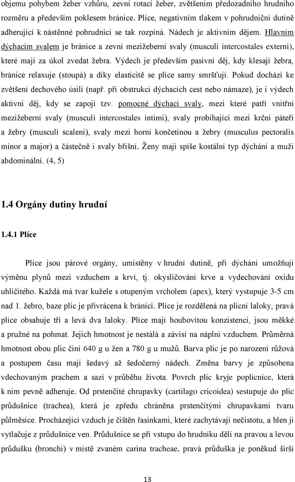 Hlavním dýchacím svalem je bránice a zevní mezižeberní svaly (musculi intercostales externi), které mají za úkol zvedat žebra.