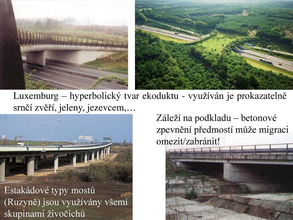 využíván je prokazatelně srnčí zvěří, jeleny, jezevcem,