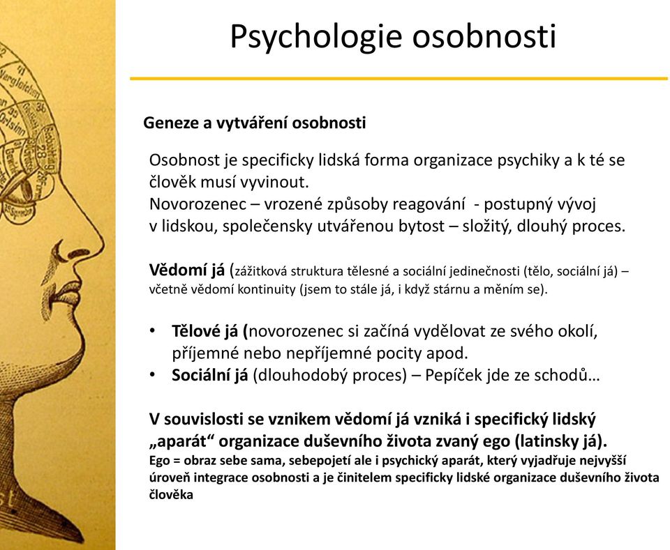 Vědomí já (zážitková struktura tělesné a sociální jedinečnosti (tělo, sociální já) včetně vědomí kontinuity (jsem to stále já, i když stárnu a měním se).