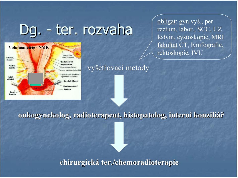 , SCC, UZ ledvin, cystoskopie, MRI fakultat CT, lymfografie,